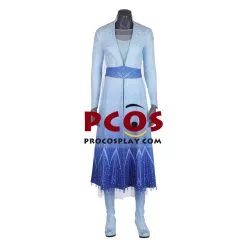 Frozen 2 Elsa Cosplay Costume Mp004983