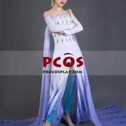 Frozen 2 Elsa Spirit Dress Cosplay Costume Mp005584