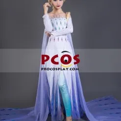 Frozen 2 Elsa Spirit Dress Cosplay Costume Mp005584 -Marvel Costumes Collection Shop w 1 0097731 frozen 2 elsa spirit dress cosplay costume mp005584